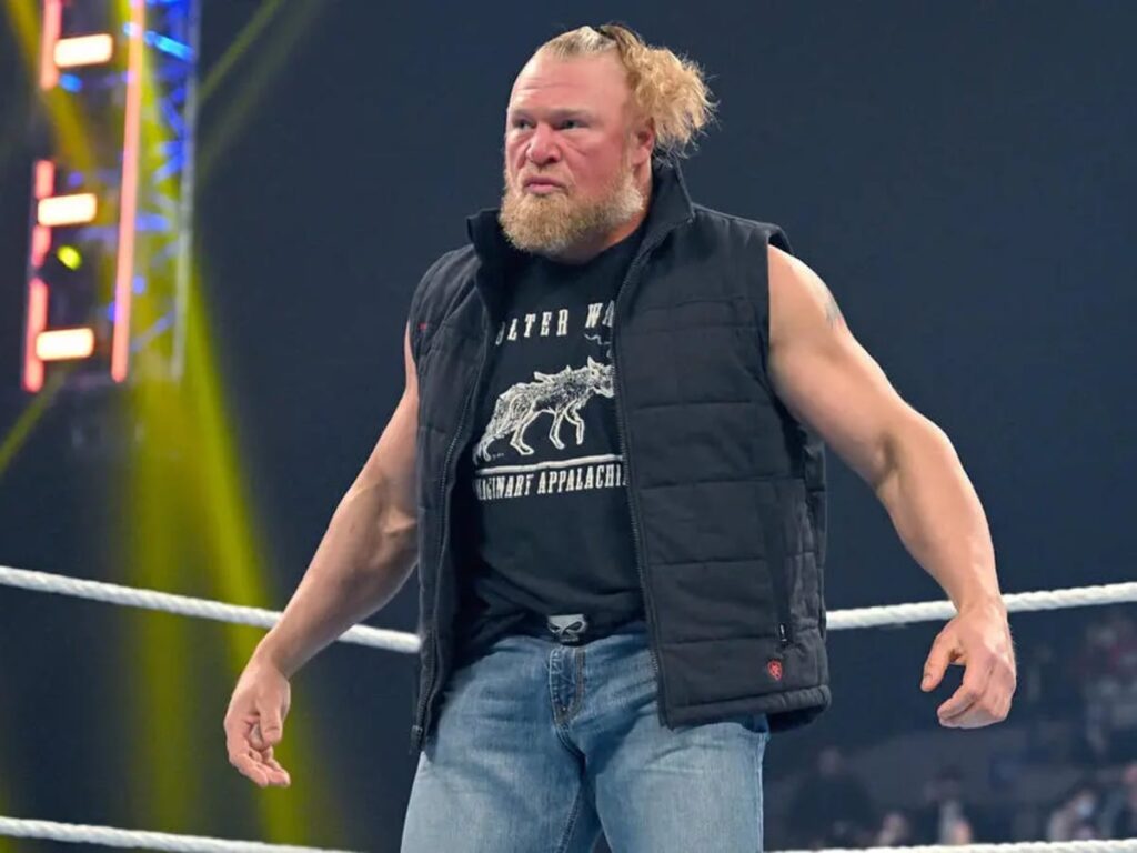 Brock Lesnars WWE fighter