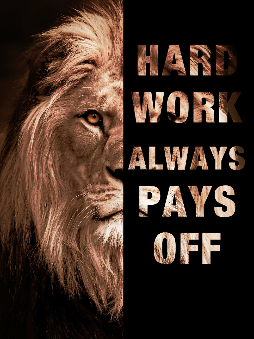 Motivation and Hard Work