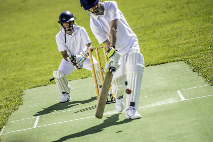 Playing Cricket