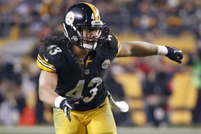 Troy Polamalu